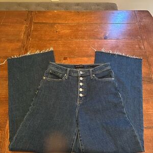 Banana Republic Dark Blue High Rise Button Fly Jeans